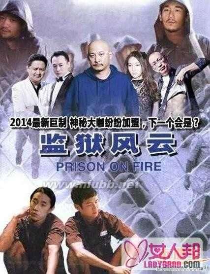 林教头最新爆料新闻视频,最新爆料新闻视频深度解析